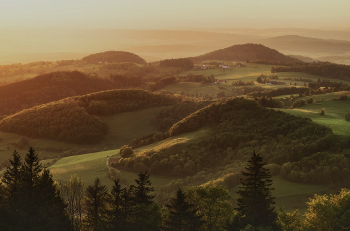 Bildschirmfoto 2025-10-06 um 13.56.38